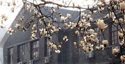 浙江工商大学2019工商管理硕士(MBA)招生简章(图2)