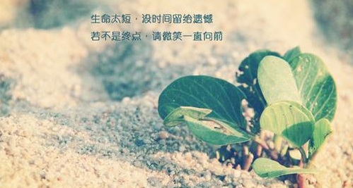 2019考研准考证丢失有救了！研招网再次开通下载